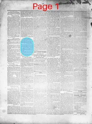 Page thumbnail for The Sumter Banner