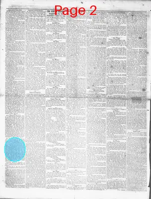 Page thumbnail for The Sumter Banner