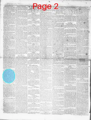 Page thumbnail for The Sumter Banner