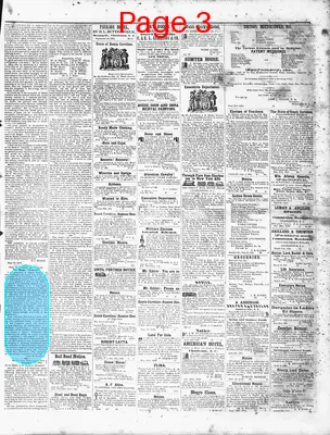 Page thumbnail for The Sumter Banner