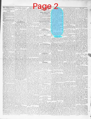 Page thumbnail for The Sumter Banner