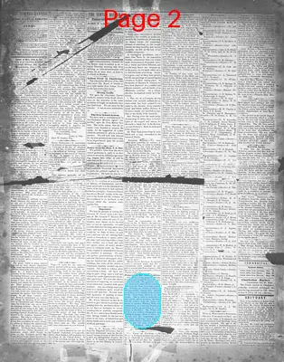 Page thumbnail for The Sumter Banner