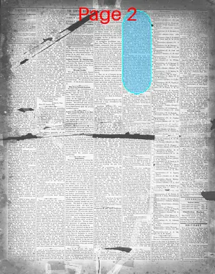 Page thumbnail for The Sumter Banner