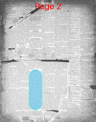 Page thumbnail for The Sumter Banner