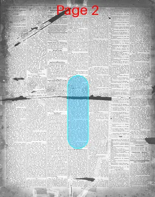 Page thumbnail for The Sumter Banner