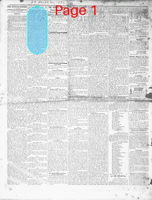 Page thumbnail for The Sumter Banner
