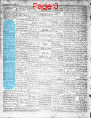 Page thumbnail for The Sumter Banner