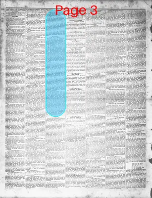 Page thumbnail for The Sumter Banner