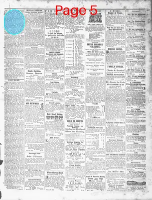 Page thumbnail for The Sumter Banner