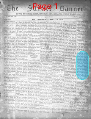 Page thumbnail for The Sumter Banner