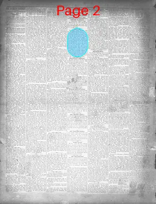 Page thumbnail for The Sumter Banner