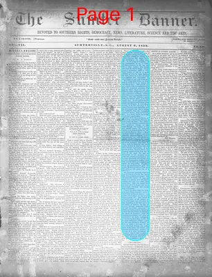 Page thumbnail for The Sumter Banner