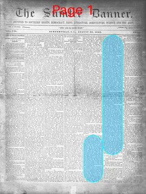Page thumbnail for The Sumter Banner