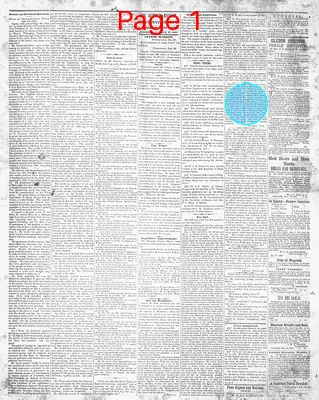 Page thumbnail for The Sumter Banner