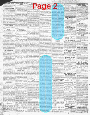 Page thumbnail for The Sumter Banner