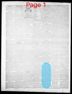 Page thumbnail for American Citizen