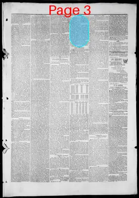 Page thumbnail for Loudon Free Press