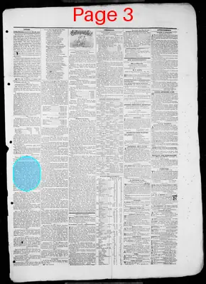 Page thumbnail for Loudon Free Press