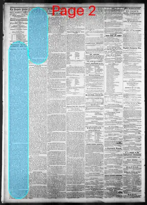 Page thumbnail for Nashville Daily Patriot