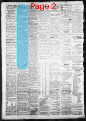 Page thumbnail for Nashville Daily Patriot