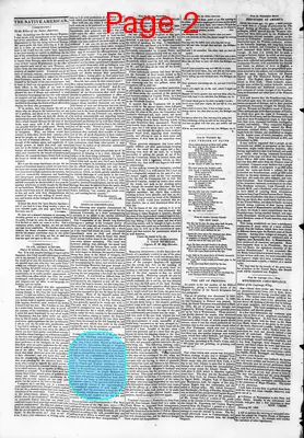 Page thumbnail for The Native American