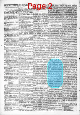 Page thumbnail for The Native American