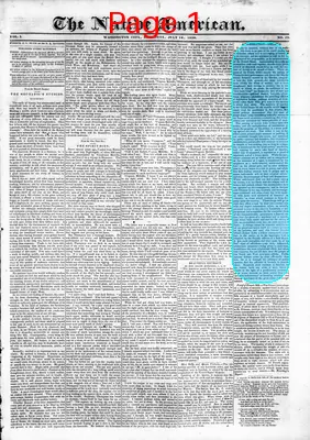 Page thumbnail for The Native American