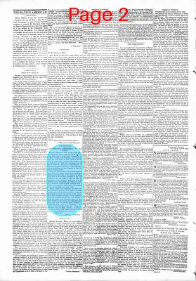 Page thumbnail for The Native American
