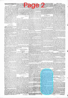 Page thumbnail for The Native American