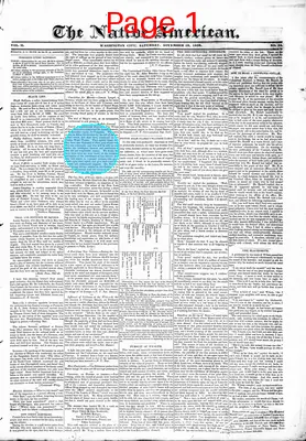 Page thumbnail for The Native American