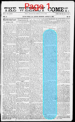 Page thumbnail for The Weekly Comet