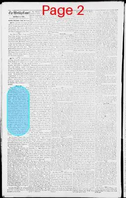 Page thumbnail for The Weekly Comet