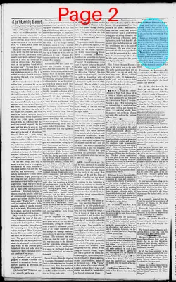 Page thumbnail for The Weekly Comet