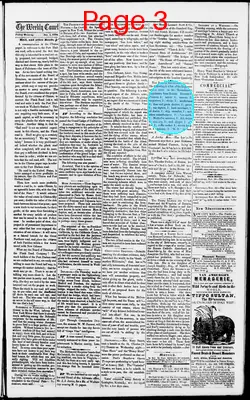 Page thumbnail for The Weekly Comet