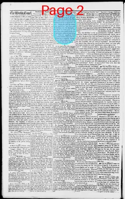 Page thumbnail for The Weekly Comet