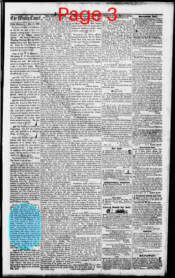 Page thumbnail for The Weekly Comet