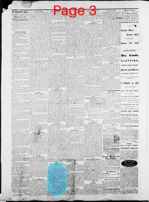 Page thumbnail for The Brookhaven Ledger