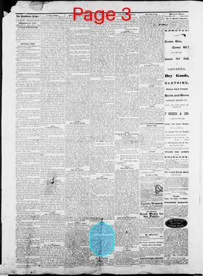 Page thumbnail for The Brookhaven Ledger