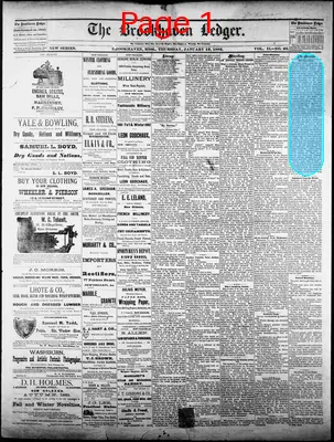 Page thumbnail for The Brookhaven Ledger