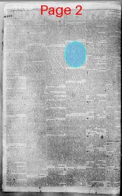 Page thumbnail for Canton Herald