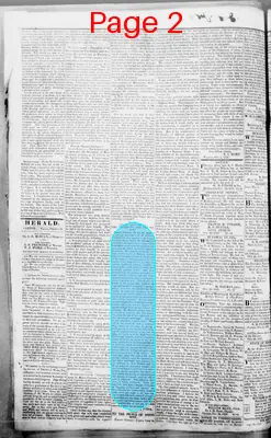 Page thumbnail for Canton Herald
