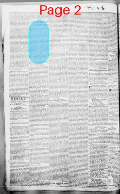 Page thumbnail for Canton Herald