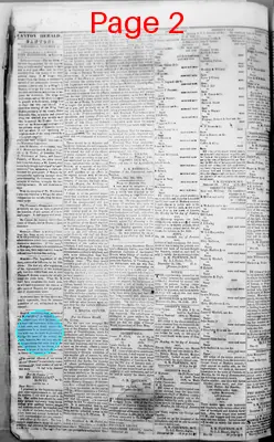 Page thumbnail for Canton Herald