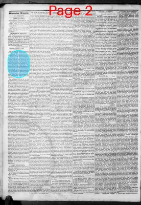 Page thumbnail for Mississippi Democrat