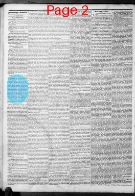 Page thumbnail for Mississippi Democrat