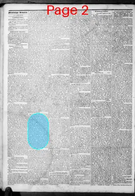 Page thumbnail for Mississippi Democrat