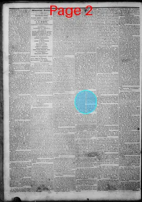 Page thumbnail for Mississippi Democrat