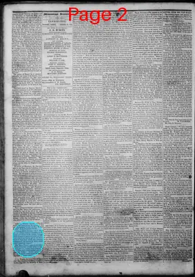 Page thumbnail for Mississippi Democrat