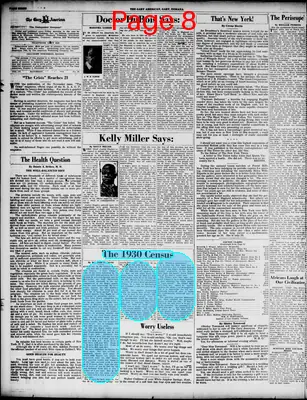 Page thumbnail for The Gary American