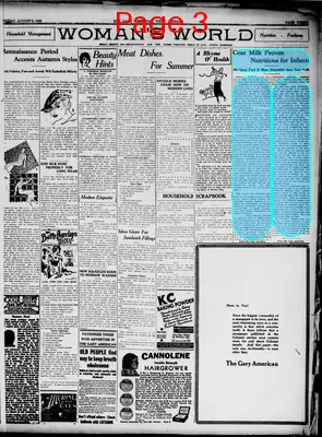 Page thumbnail for The Gary American